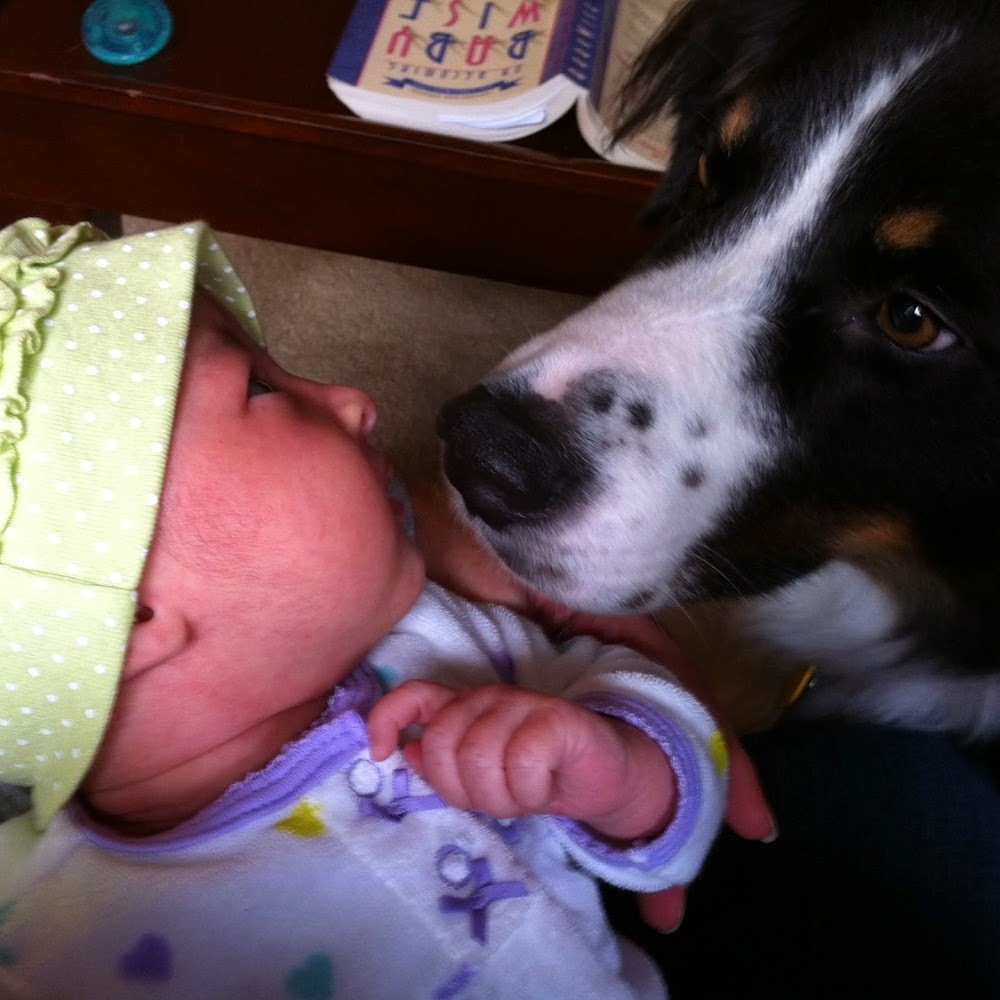 Meet your Posher, Kristin